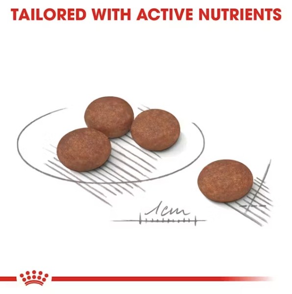 Royal Canin Digestive Care Mini - Суха храна за кучета от дребни породи с чувствителен стомах